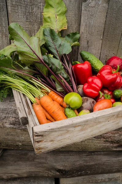 Verduras en una caja — Foto de Stock