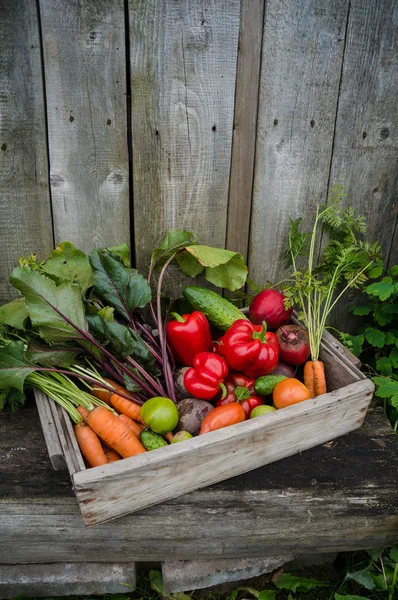 Verduras en una caja — Foto de Stock