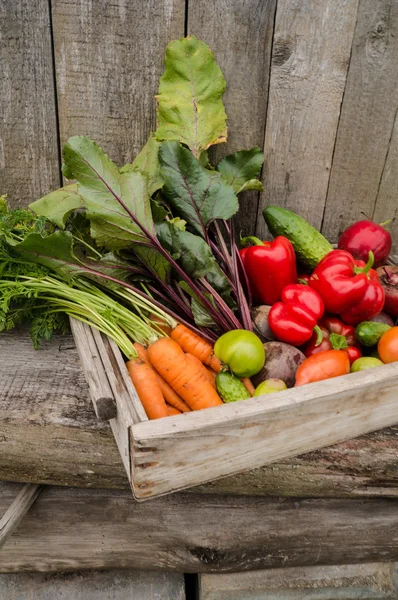 Verduras en una caja — Foto de Stock