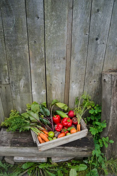 Vegetables in a box — Stock Photo, Image