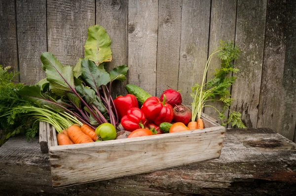 Verduras en una caja — Foto de Stock