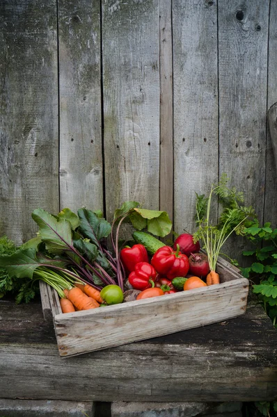 Verduras en una caja — Foto de Stock