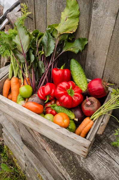 Legumes em uma caixa — Fotografia de Stock