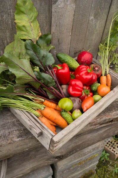 Verduras en una caja — Foto de Stock