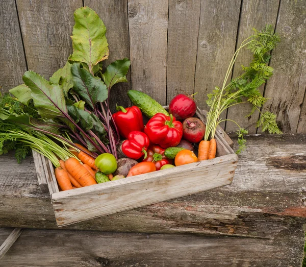 Verduras en una caja — Foto de Stock