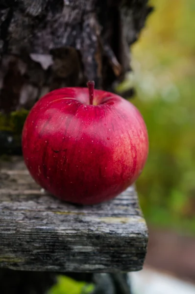 Äpple — Stockfoto