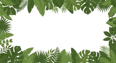 Tropik yeşil sınır çerçevesini terk eder. Beyaz kopya alanı olan vektör orman yaprağı arkaplanı
