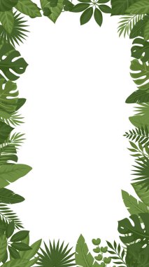 Tropik yeşil sınır çerçevesini terk eder. Beyaz kopya alanı olan vektör orman yaprağı arkaplanı