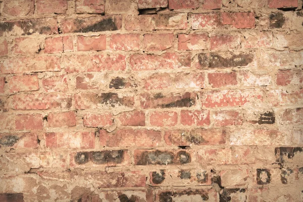 Wall of brick — Stock Photo, Image