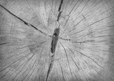 ahşap arka plan duvar