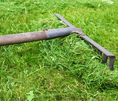 Komisyon Bahçe çim üzerinde yalan