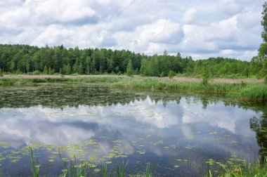 Yazın orman gölü suyu. Suya yansıyan kalın bulutlar.