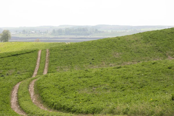 農村の砂利道緑の丘の中腹に遠くの地平線に行く — ストック写真