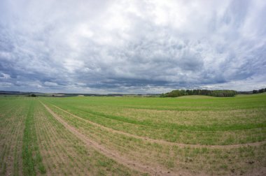 Bulutlu gökyüzü ve ufukta yeşil alanlar. Belarus 'un kırsal manzarası.