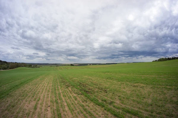 Ladang Pertanian Belarus Pemandangan Yang Indah Jauh Cakrawala Countryside — Stok Foto