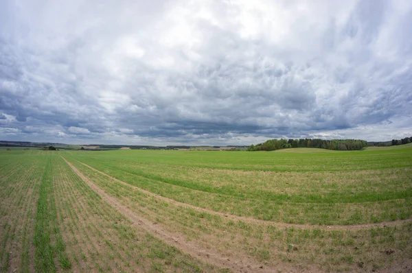 地平線に曇った空と緑のフィールド ベラルーシの農村風景 — ストック写真
