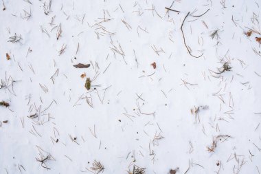 Orman kar arka planı. Çam iğneleri ve dallarla kaplı karların üst manzarası.