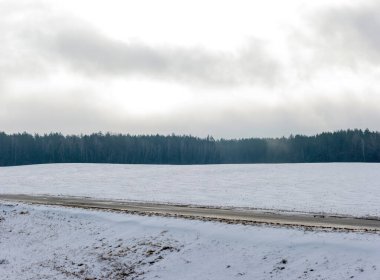 Güzel, sakin, karlı kış manzarası. Karla kaplı büyük bir tarla, ön planda bir yol ve arka planda karanlık sisli bir orman. Bulutlu gökyüzü, boşluklu gri.