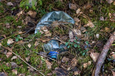 Ormana atılmış plastik çöpler. Ormanda bırakılmış plastik bir şişe ot ve yosun ile kaplanmış..