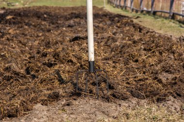 Toprağa saplanmış bir yaba organik gübrelerle gübrelenmiş yataklar. Pürüzlü gübre ve saman karışımı organik sebzeler ekmeye ve yetiştirmeye hazırlanıyor.