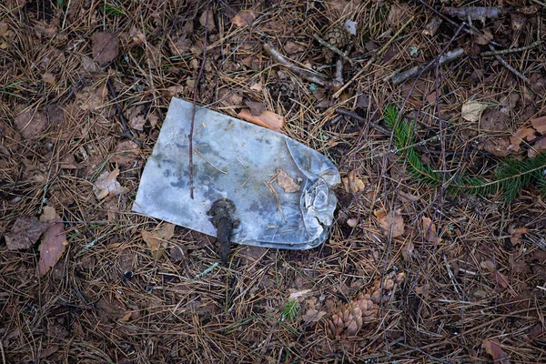 Discarded plastic trash in the forest. In the forest, on last year\'s leaves, lies a plastic bottle covered with twigs and needles.