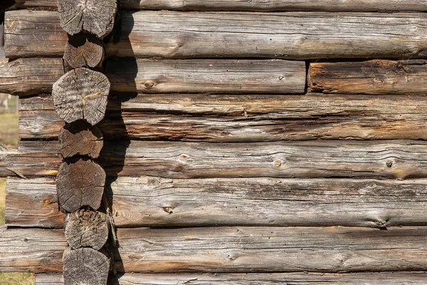 The wall of an old wooden house built from round pine logs. The logs are rotten and crumbling.