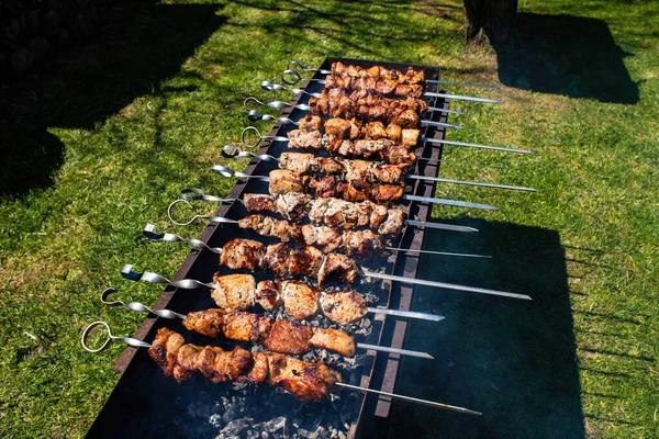 Viele Spieße Mit Leckeren Spießen Werden Der Natur Auf Einem — Stockfoto