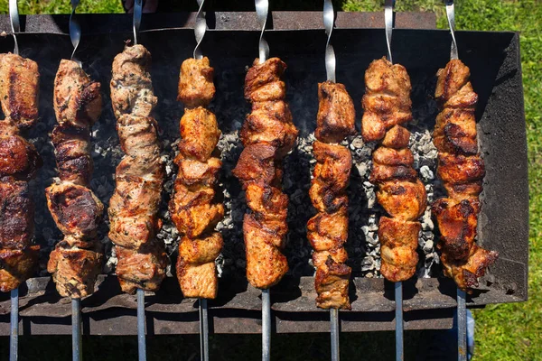 Viele Spieße Mit Appetitanregendem Fleisch Werden Der Natur Auf Einem — Stockfoto