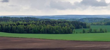 Bulutlu bir gökyüzünün altında tarlaya sürülen ve taze yeşil tarlaların manzarası. Taze yeşil çayır ve ufukta sisli orman. Beyaz Rusya 'nın tarlaları ve ormanları ile doğal araziyi rezerve edin.