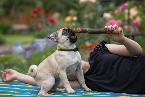 Adolescente Giace Materasso Prato Giardino Estivo Gioca Con Cucciolo Carlino — Foto Stock