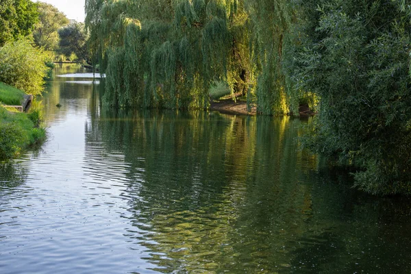 Yaz kenti parkında sakin bir su kanalı ve kıyıları boyunca bir sürü ağaç var.