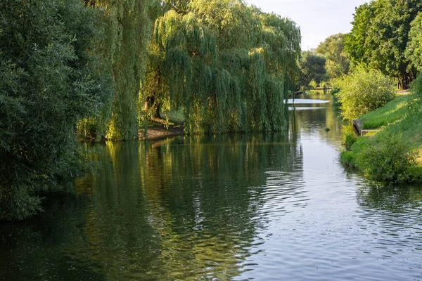 Klidný Vodní Kanál Letním Městském Parku Mnoha Stromy Podél Břehu — Stock fotografie