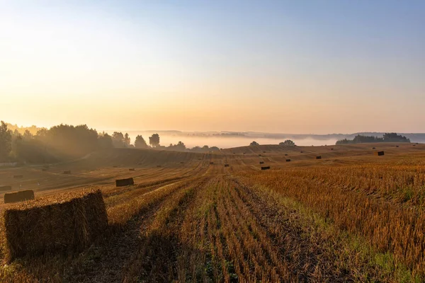 Landskap Stor Jordbruksmark Med Halmballer Bakken Ved Soloppgang Morgenens Tåkete – stockfoto