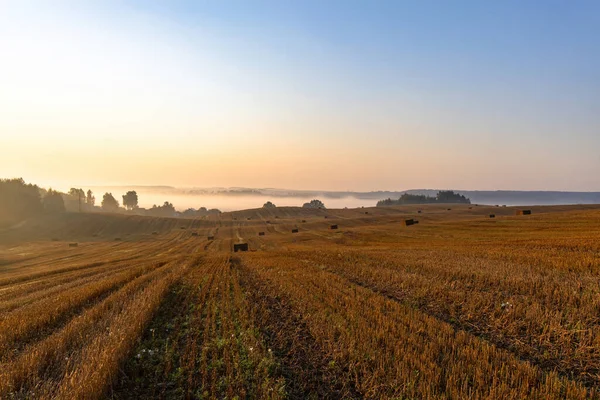 Landskap Stor Jordbruksmark Med Halmballer Bakken Ved Soloppgang Morgenens Tåkete – stockfoto