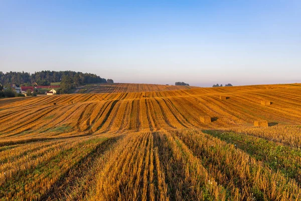 Store Gressklipte Enger Med Halmballer Bakken Ved Soloppgang Landsbyhusene Står – stockfoto