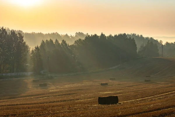 Paisaje Niebla Colorido Rural Amanecer Campo Trigo Agrícola Cosechado Con — Foto de Stock