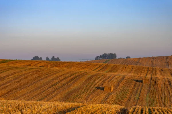 Paisaje Gran Campo Trigo Colinas Coloridas Con Fardos Paja Amanecer — Foto de Stock