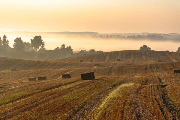 日の出の田舎のカラフルな霧の風景 わらの俵とその背後に霧の多い農村の谷間と収穫された農業用小麦のフィールド — ストック写真