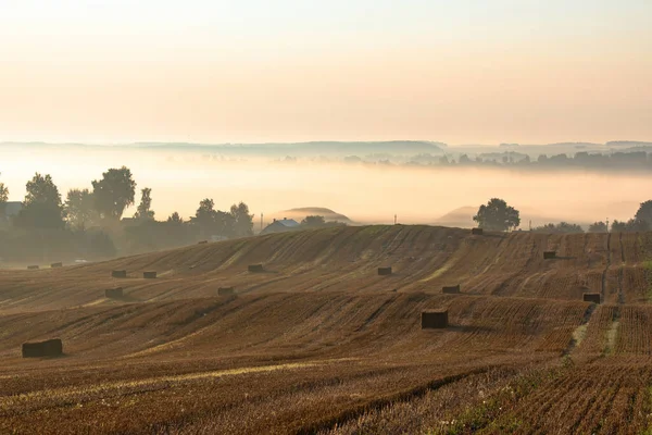 日の出時に農村部のカラフルな霧の風景 わらの俵とその背後に霧の田舎の谷間と収穫された農業用小麦のフィールド — ストック写真