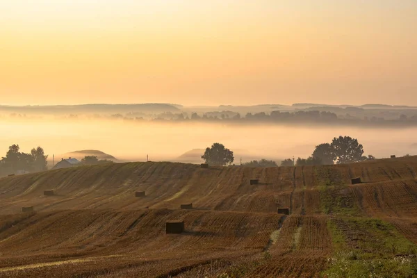 日の出時に農村部のカラフルな霧の風景 わらの俵とその背後に霧の田舎の谷間と収穫された農業丘陵の小麦畑 — ストック写真