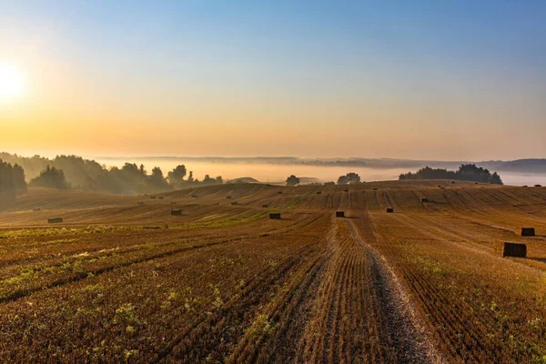 大規模な丘陵地の風景は 日の出時に麦畑を収穫した 畑の向こうには霧の谷と地平線に森がある — ストック写真