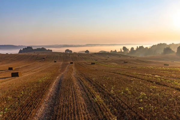 日の出にはわらの俵を持つ大規模な収穫された農業用小麦畑の風景 畑の向こうには霧の谷と地平線に森がある — ストック写真