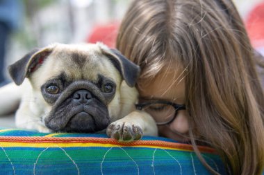 Yatakta uyuyan bir kızın yanında dinlenen sevimli, genç bir köpek.