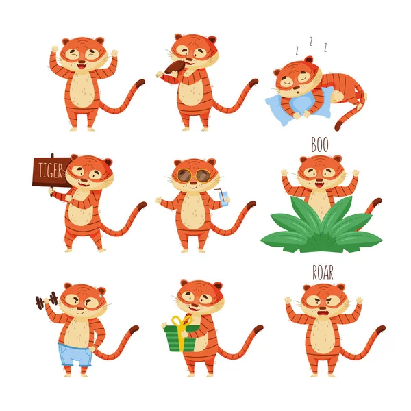 Cute Tiger Character Doing Different Activities Vector Set — 스톡 벡터