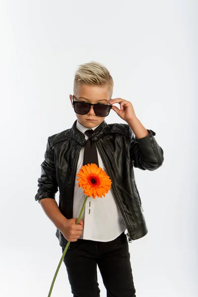 Retrato de estudio del chico rubio caucásico de moda con una sola flor de gerberas, fondo blanco, espacio para copiar —  Fotos de Stock