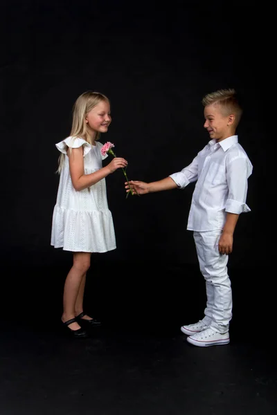 Студия портрет мальчик дает девушке один гвоздичный цветок, поздравительная концепция, черный фон, копировать пространство Лицензионные Стоковые Фото