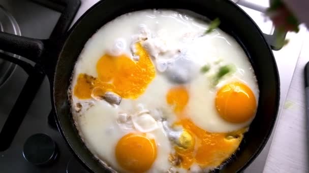 Vídeo Cámara Lenta Cocinando Huevos Revueltos Preparación Comidas Ligeras Para — Vídeo de stock