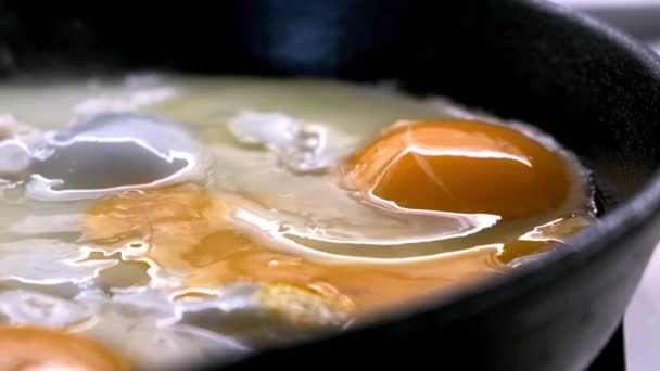 Cuisson Vidéo Ralenti Œufs Brouillés Préparation Repas Légers Pour Petit — Video