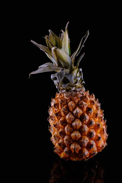 Piña Entera Sobre Cloche Vidrio Sobre Fondo Negro Con Espacio — Foto de Stock