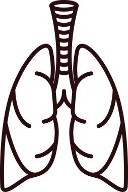 İnsan ciğerleri vektör simgesi.